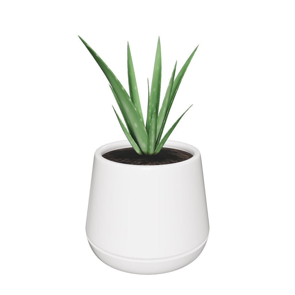 Monsoon Medley - Image 9