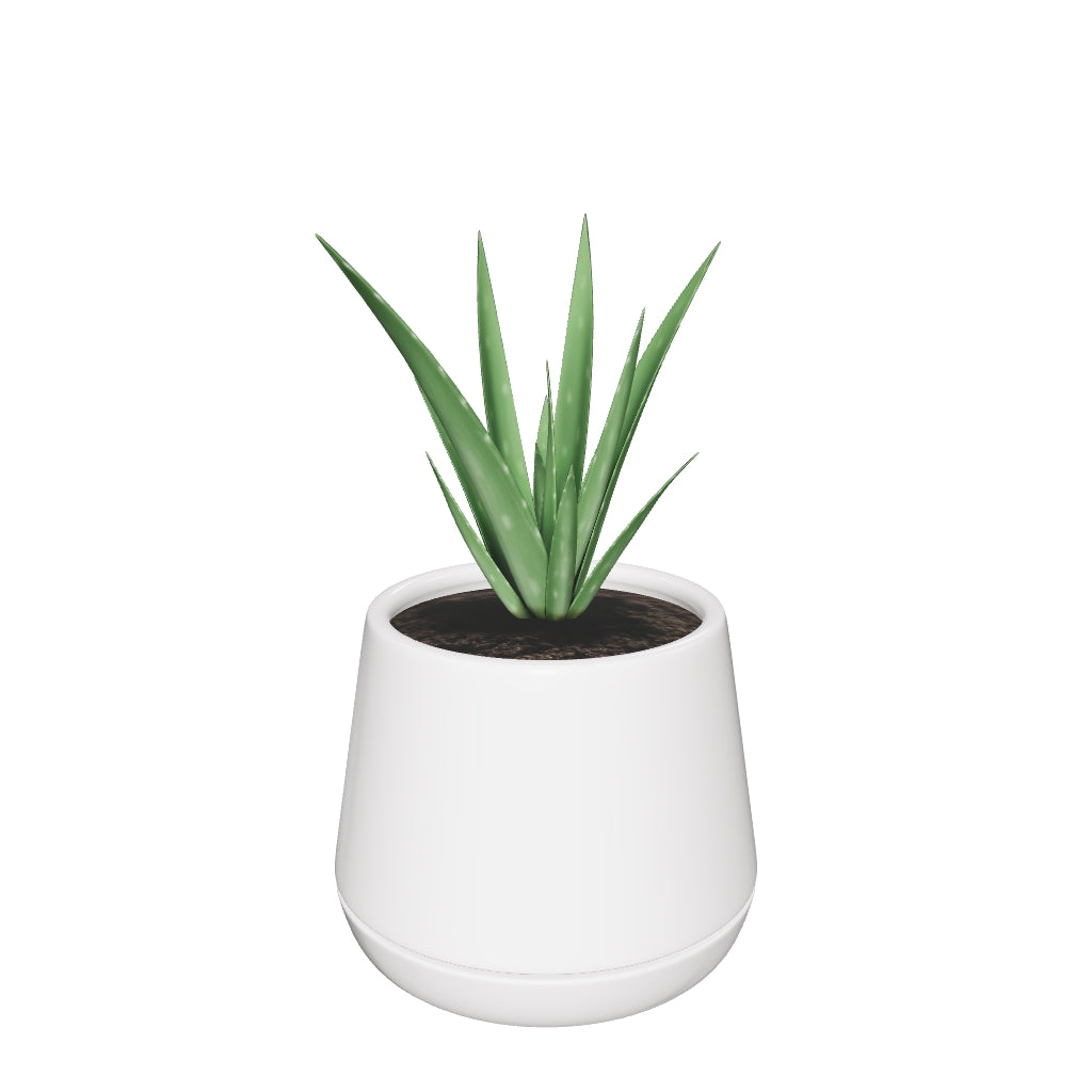 Monsoon Medley - Image 10