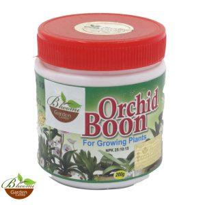 Sterling Orchid Boon Growing 200GM - Growth Booster Plants