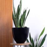 Ceramic Planters Echoing Eternity - Slim