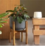 Pheonix with Wooden Stand