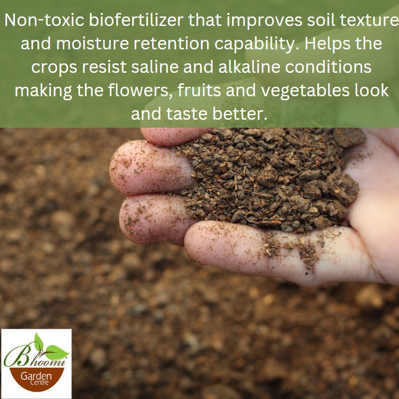 Pongamia Cake/Powder For Plants - Image 5