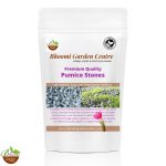 Pumice Stones 2 to 8mm