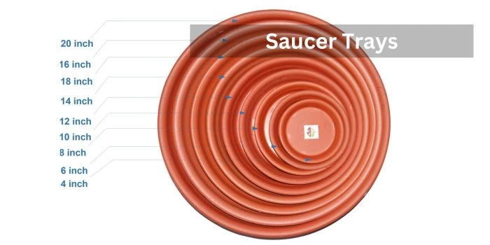 Saucer Trays