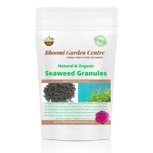 Seaweed Granules for Plants