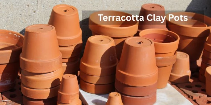 Terracotta Clay Pots