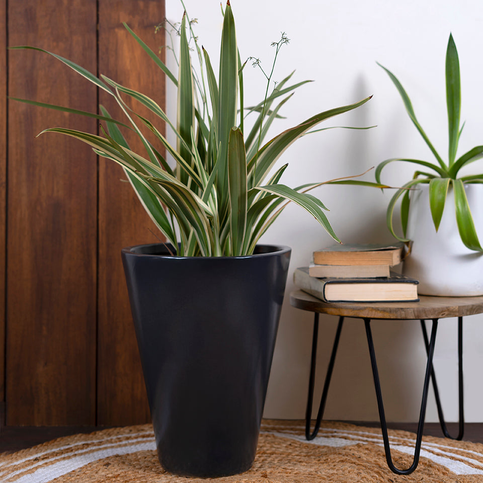 Ceramic Planter Love Bite - Image 5