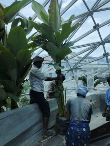 Softscape-12.jpg