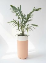 Serenity Cylinder