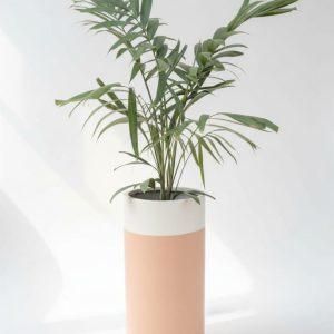 Serenity Cylinder