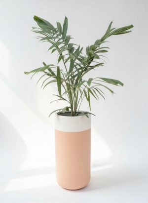 Serenity Cylinder