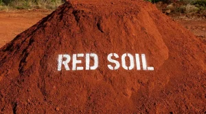 Red Soil for Urban Gardeners